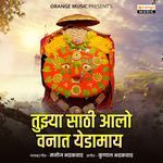 Tuzyasathi Aalo Vanat Yedamay