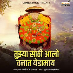 Tuzyasathi Aalo Vanat Yedamay