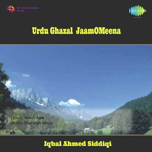 Urdu Ghazal - Jaam - O - Meena