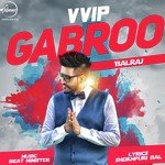 VVIP Gabroo