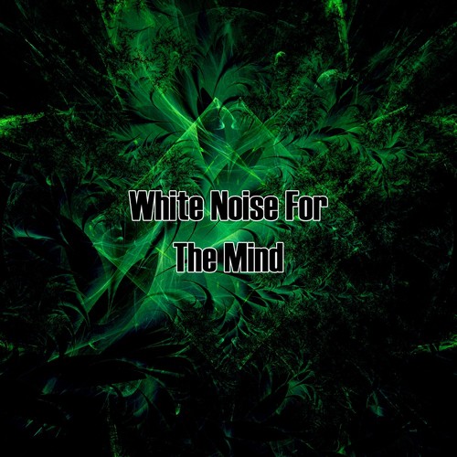 White Noise Fan