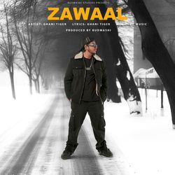 Zawaal