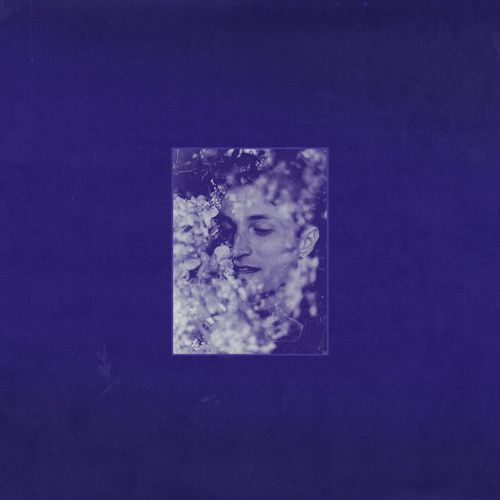 indigo cover art