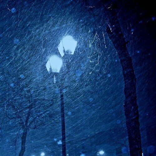 light rain cover art