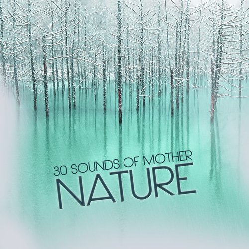 30 Sounds from Mother Nature