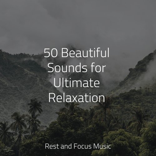 50 Beautiful Sounds for Ultimate Relaxation