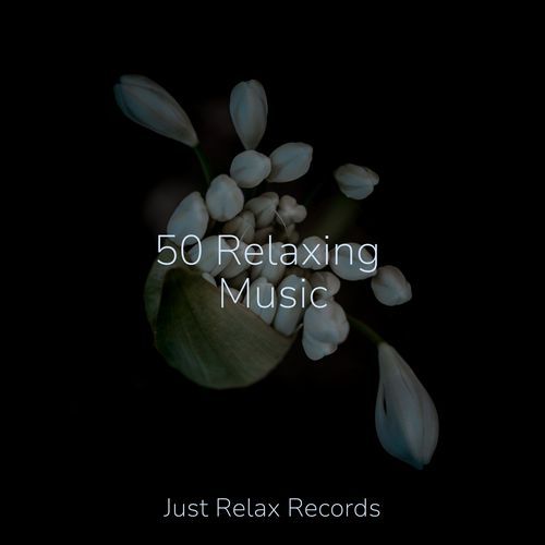 50 Relaxing Music_poster_image