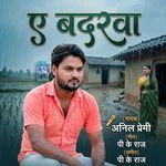 A Badarwa