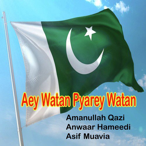 Aey Watan Pyarey Watan - Single