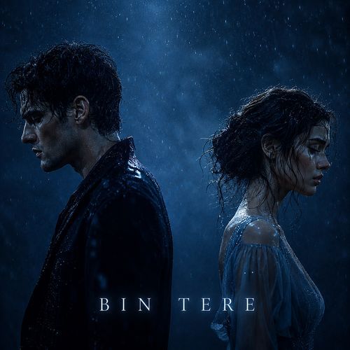 Bin Tere
