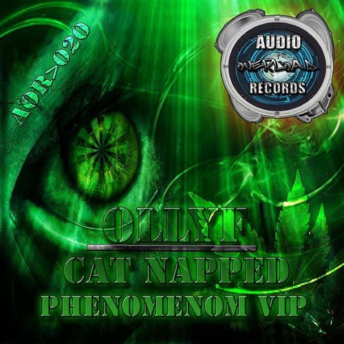 Catnapped / Phenomenon V.I.P