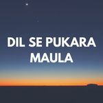 Dil Se Pukara Maula