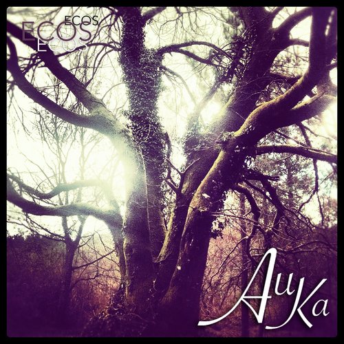 Ecos cover art