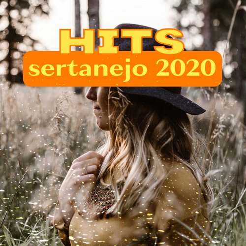 Hits Sertanejo 2020