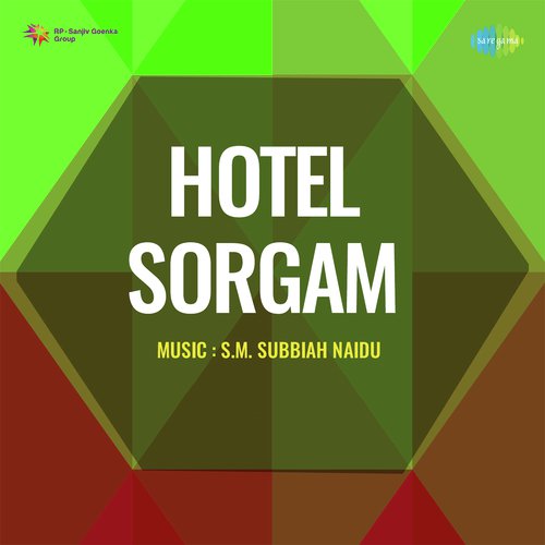 Hotel Sorgam
