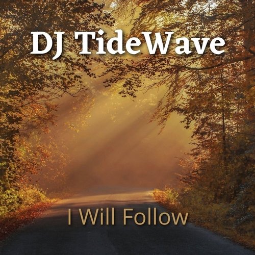 I Will Follow cover art