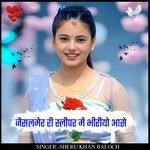 Jaisalmer ri slipar me bhiriyo aase