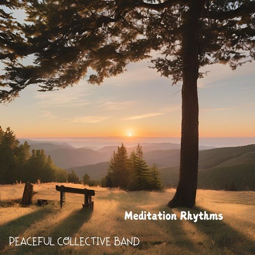 Meditation Rhythms cover art