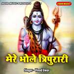Mere Bhole Tripurari
