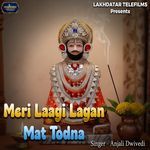 Meri Laagi Lagan Mat Todna