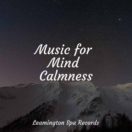 Rainforest Drops cover art