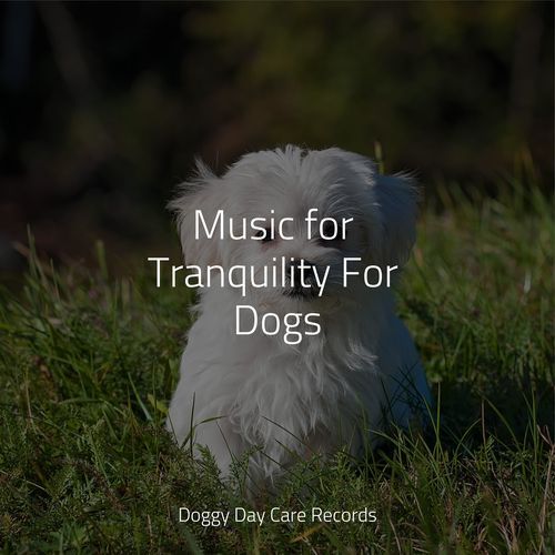 Music for Tranquility For Dogs_poster_image