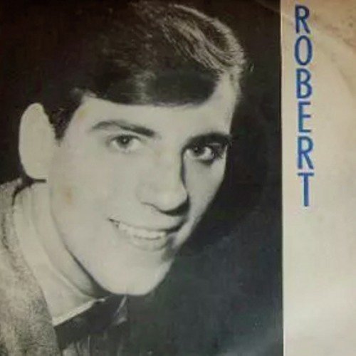 Robert Livi