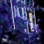 Segfault (Radio Edit)