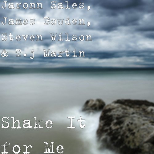 Shake It for Me_poster_image