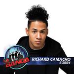 Sorry (La Banda Performance)