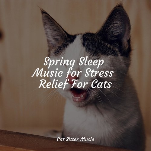 Spring Sleep Music for Stress Relief For Cats