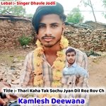 Thari Kaha Tak Sochu Jyan Dil Roz Rov Ch