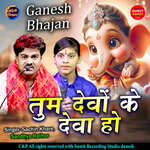 Tum Devo Ke Deva Ho
