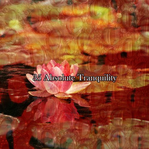 35 Absolute Tranquility_poster_image