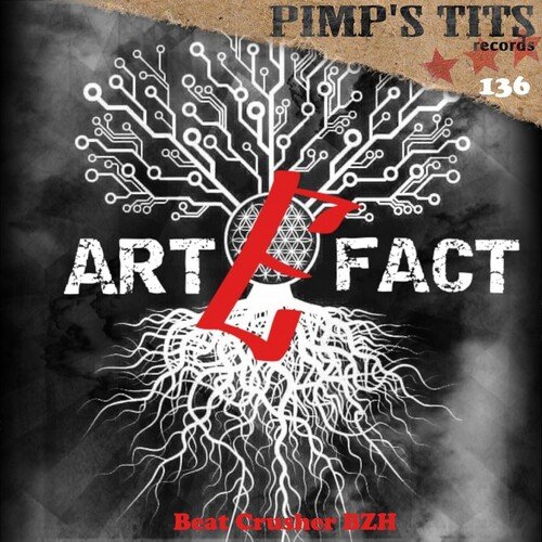 Artefact (Le Son Du Placard Remix) cover art