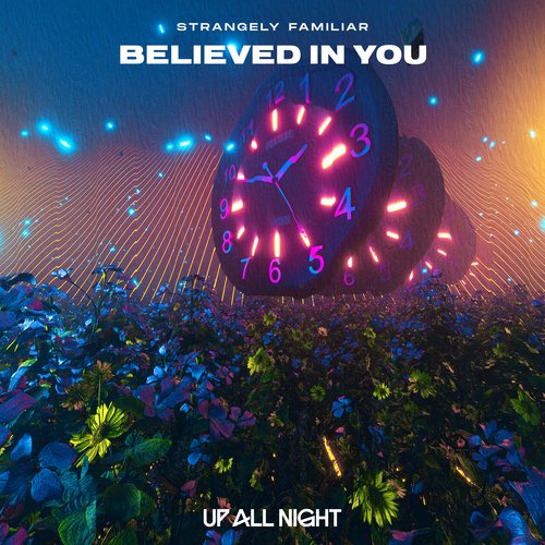 Believed In You_poster_image