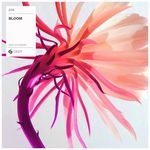 Bloom (Extended Mix) (Extended Mix)