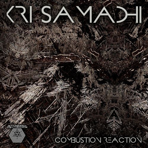 Combustion Reaction