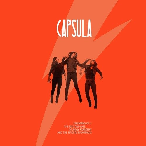 Dreaming of Ziggy Stardust