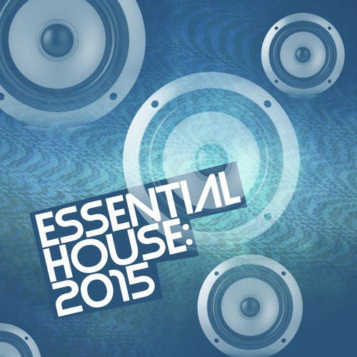 Essential House: 2015