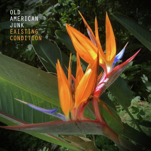 Existing Condition cover art