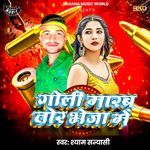 Goli Marb Tor Bheja Me