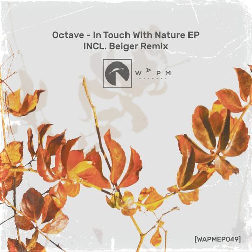 What You Gonna Do (Beiger Remix) cover art