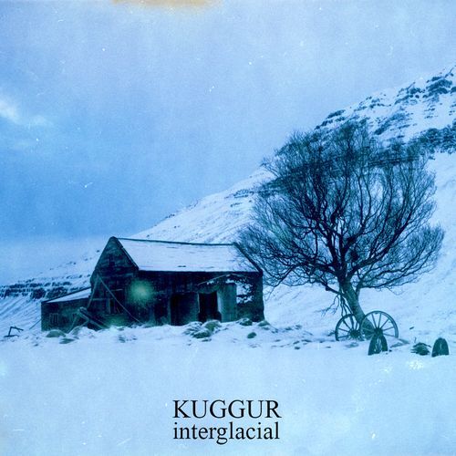 TYDIH cover art
