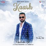 Kaash