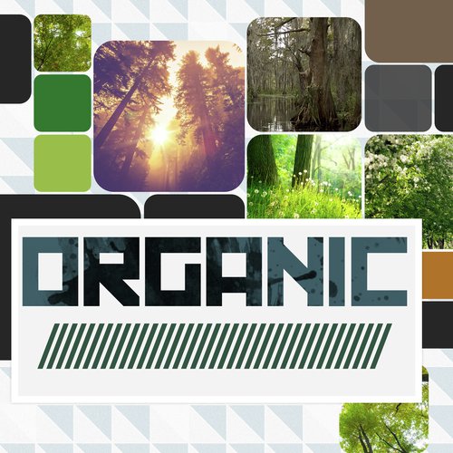 Organic_poster_image