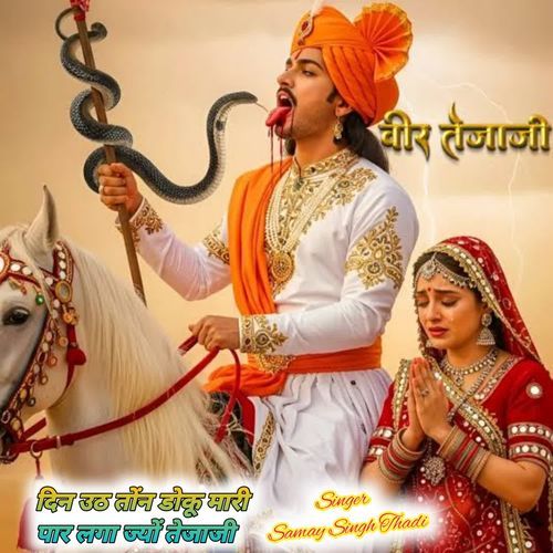 दिन उठ तोंन डोकू मारी पार लगा ज्यों तेजाजी