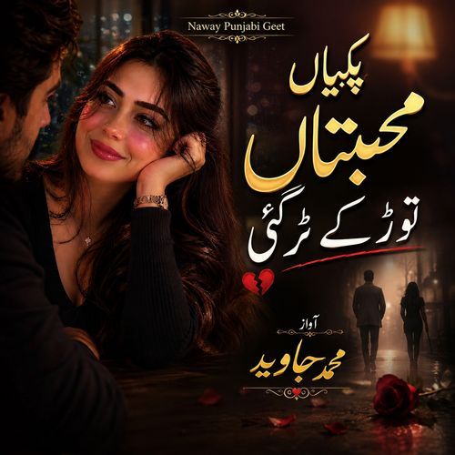 Pakkiyan Muhabbatan Tod Ke Tur Gayi