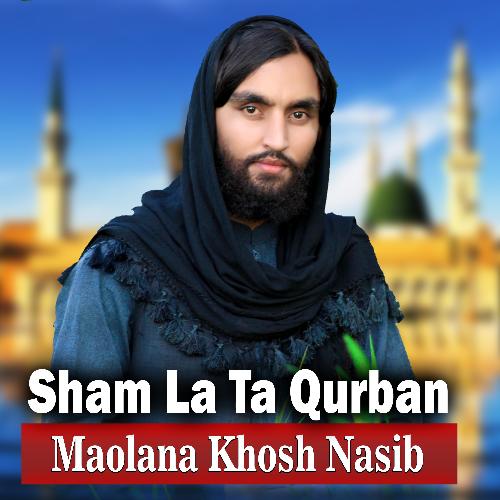 Zra Shahdata Pa Firaq Di Liwanee Karlo