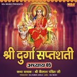 Shree Durga Saptshati Adhyay, Pt. 05